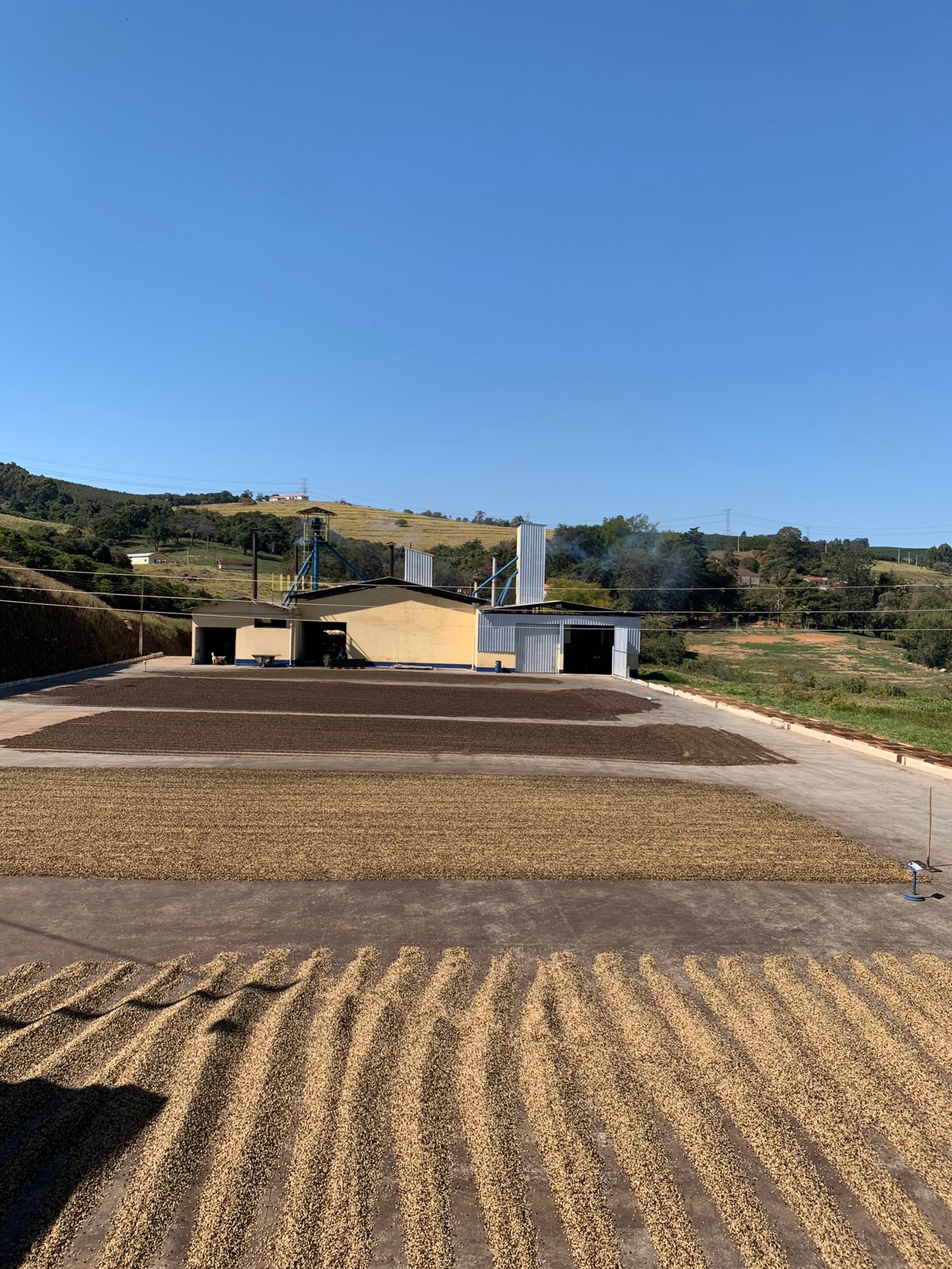 Café São Caetano Bourbon Amarelo 500g em Grãos