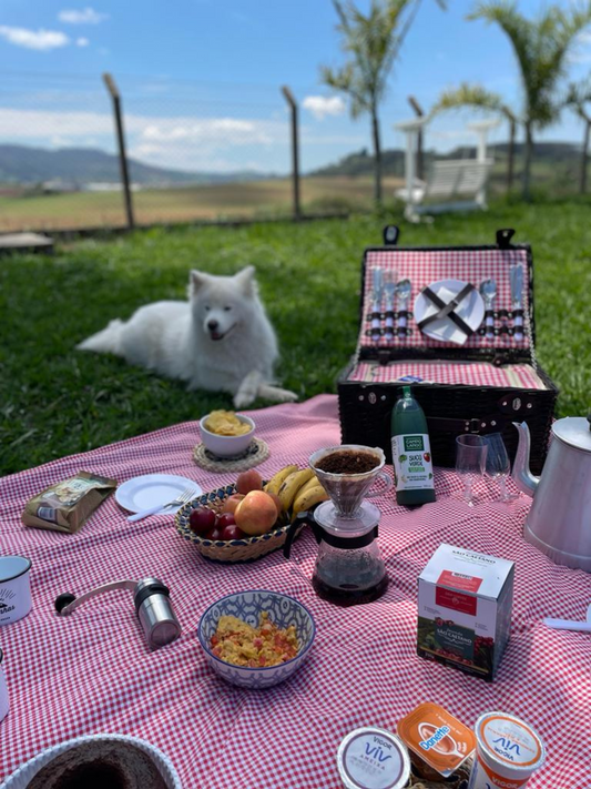 Café São Caetano Bourbon Amarelo 500g em Grãos