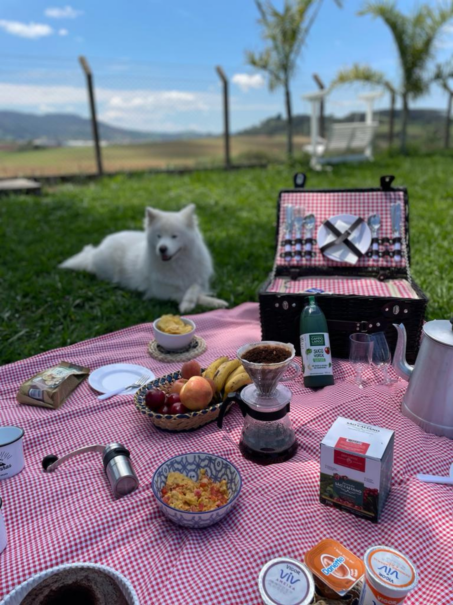 Café São Caetano Bourbon Amarelo 250g